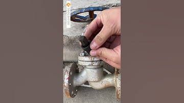 Use the universal joint to remove the nut
