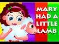 Mary Had A Little Lamb Nursery Rhyme With Lyrics | Cartoon Animation Songs For Children