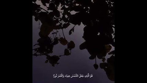 عندما تشعر بالوحدة القرآن الكريم هو أفضل صديق لتكون معه