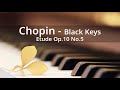 쇼팽 흑건 Chopin, Étude No. 5 in G-flat Major, Op. 10 ‘Black Keys’