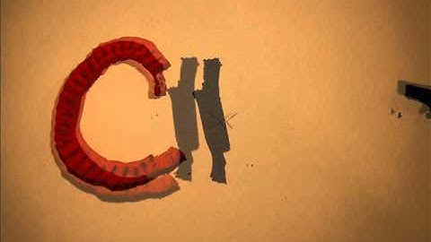 Wiki Video Group 37 Recombinant DNA