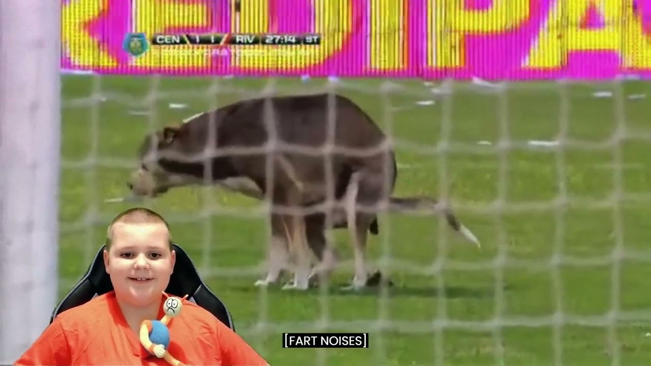 Dog Poops on Football Pitch! - Maxy Moopoo Reacts 