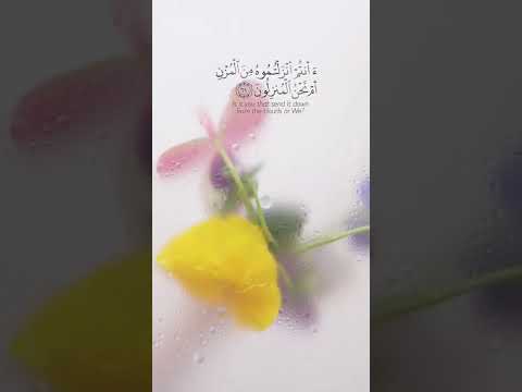 افرئيتم الماء الذي تشربون القارئ احمد النفيس قران كريم