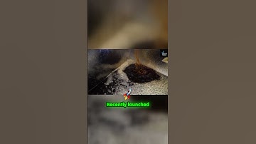 Unlocking the Future of Yield Farming: Meet Syrup USDC!