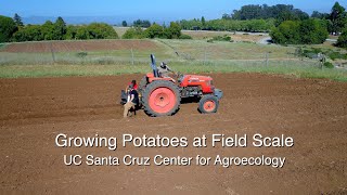 Growing Potatoes At Field Scale  UC Santa Cruz Center for Agroecology