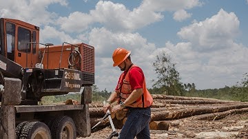 Finding and Measuring Trees to Make Utility Poles in Rayonier Forests
