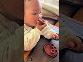 #How adorable are human cubs learning to drink tea The little purple clay teapot is so cut