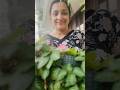 കേൾക്കാൻ ആരേലും ഉള്ളത് ഒരാശ്വാസം തന്നെയാ #shortsvideo #viralvideo #love #garden