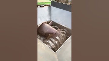 #fcnfm Waste to Wealth: How Our Machines Help You Reuse and Recycle