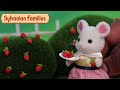 Strawberry Picking 🍓Toy Play | Sylvanian Families