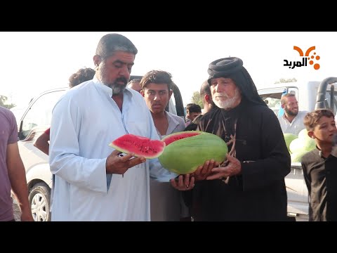 تكدس الرقي والبطيخ في ناحية شيخ سعد بواسط بسبب الاستيراد المربد