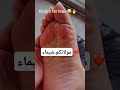 اجثو على ركبتيك ايها الضعيف انت بحضرة الاقوى Feet Chocho Sttel Arab Model اجثو على ركبتيك ايها الضعيف انت بحضرة الاقوى Feet Chocho Sttel Arab Model