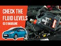 How to check the fluid levels Citroën C3 mk2 1.2 VTi 📏