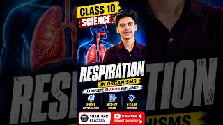 🔥 Respiration in Human Beings Class 10 Science | Full Chapter Explained in Hindi #viral #shorts