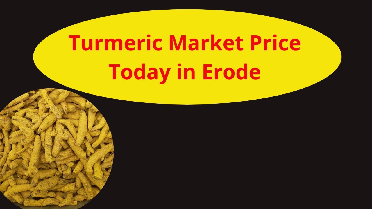 Erode Turmeric Mandi | Turmeric Auction At Erode Turmeric Merchants ...