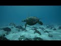 Out Front: Tahiti
