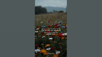 اواخر سورة النجم وفاتحة سورة القمر #القارئ_عبدالباسط_عبدالصمد #القرآن_الكريم #راحة_نفسية #المصحف