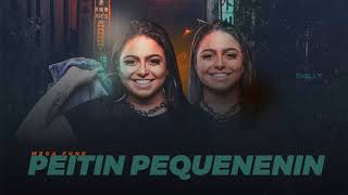 MEGA FUNK PEITIN PEQUENENIN | DJ EMILLY TAVARES