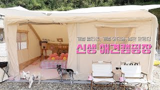 캠핑 VLOG🏕️ 개별 울타리, 개별 화장실이 있는 신생 애견 캠핑장에서 물놀이하고 먹고 또 물놀이하고 또 먹는 애견 동반 여름 캠핑ㅣ아산 캠프정감