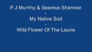 P.J. Murrihy & Seamus Shannon - Wild Flower Of The Laune chords