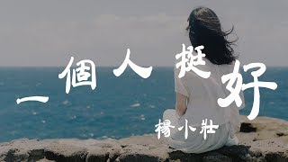 一個人挺好 -楊小壯 - 『超高无损音質』【動態歌詞Lyrics】