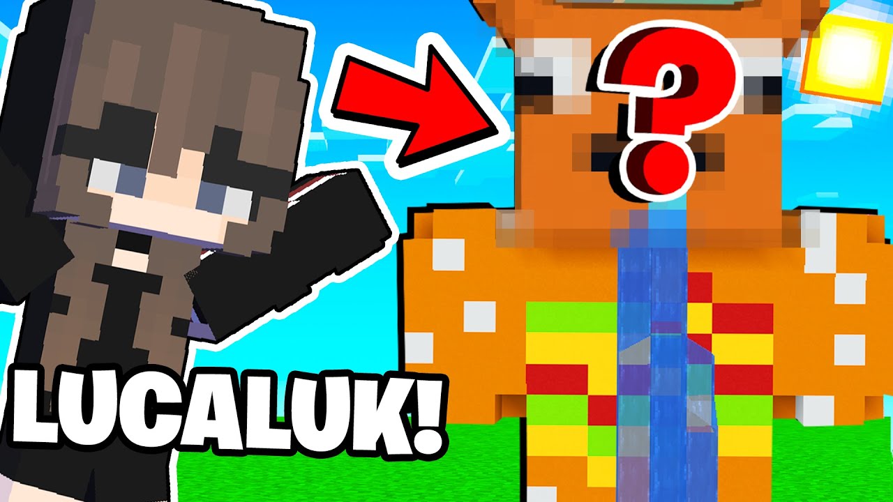 AM CONSTRUIT SKIN-URILE PRIETENILOR MEI