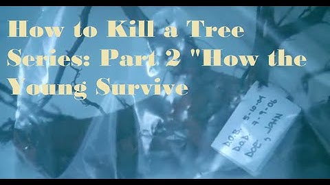How to Kill a Tree Series: Part 2 - "How the Young Survive"