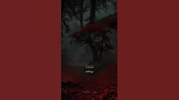 سورة الأنعام ادريس ابكر 🖤 #قرآن #قران_كريم #quran #ارح_قلبك #القرآن_الكريم #أرح #ادريس_ابكر