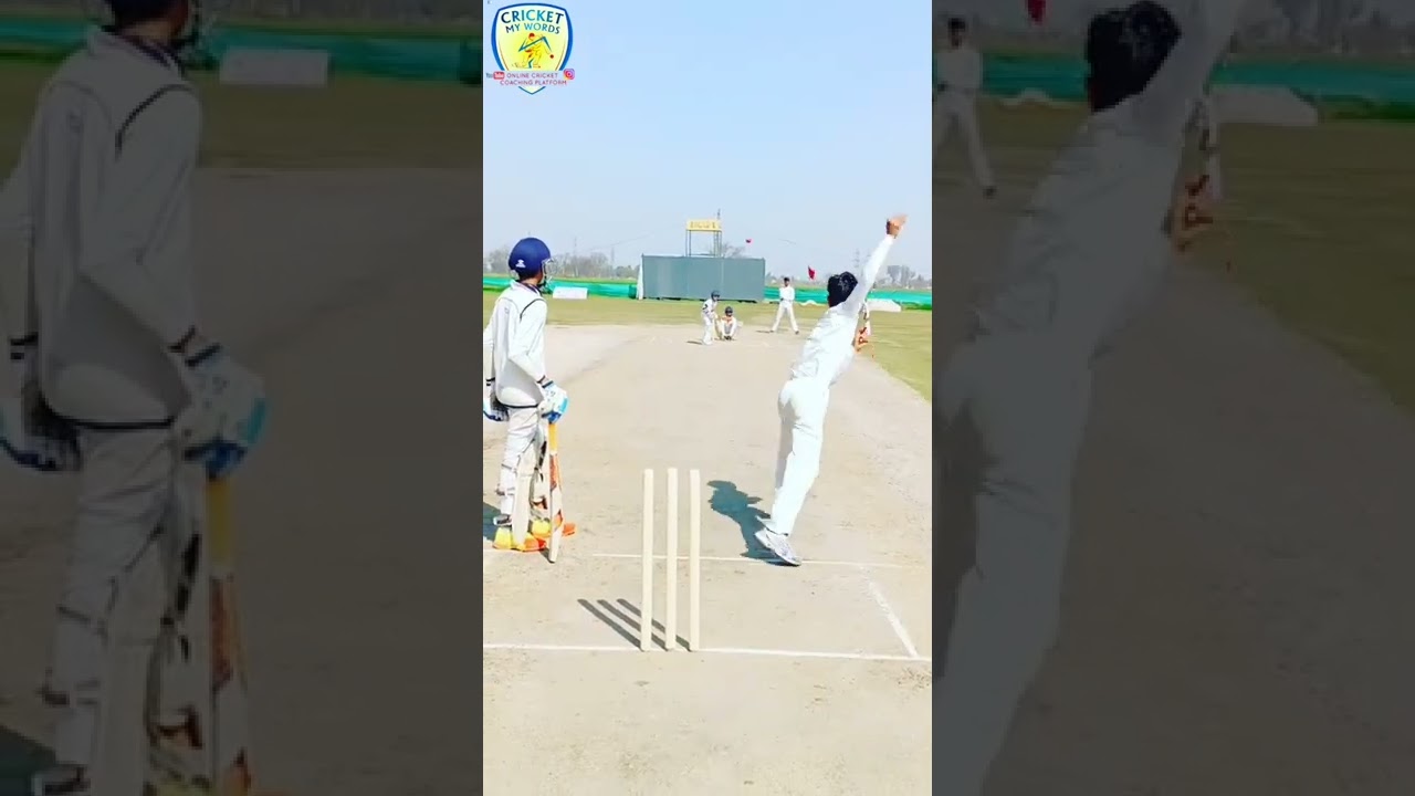 NEW CRICKET VIDEO WHATSAPP STATUS PLEASE 8 YEAR CHILD 🚸 VINAY KUMAR