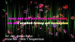 Karaoke Lagu Karo   EMBAS EMBAS    Versi KesaintBlanc