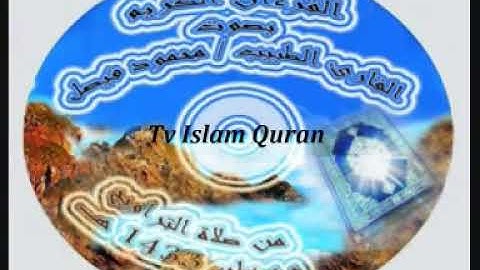 سورة البينة الشيخ محمود فيصل