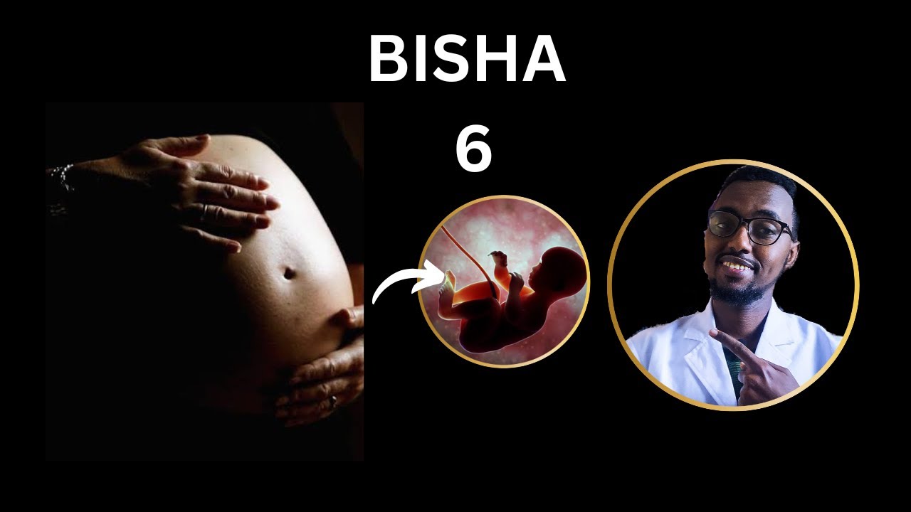 Bisha 6 Ee Uurka: Maxaa La Filayaa- Part 2