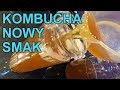 Kombucha  nowy smak jak zrobi kombuchgrzyb herbaciany kombucha