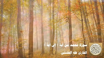 طه الفشني - سورة  محمد من آية ١ إلى آية ٨ - الَّذِينَ كَفَرُوا وَصَدُّوا عَن سَبِيلِ اللَّهِ ...