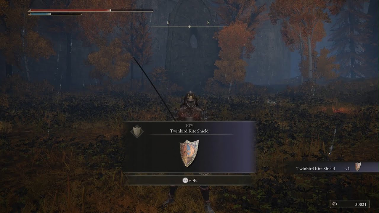 Elden Ring How to get Twinbird Kite Shield (Deathbird in Leyndell