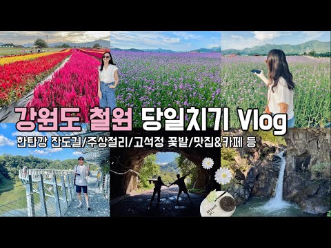 가을꽃축제 고석정꽃밭 한탄강 주상절리 잔도길 강원도 철원 당일치기 여행 VLOG 가을여행지추천 