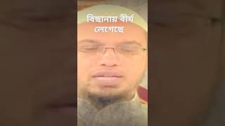 বছনয বরয লগল সখন বস ব ঘমন যব ক-শযখ আহমদললহ