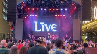 +Live+ - The Dolphin's Cry [Live] (2023) - Freemont Street Experience, Las Vegas
