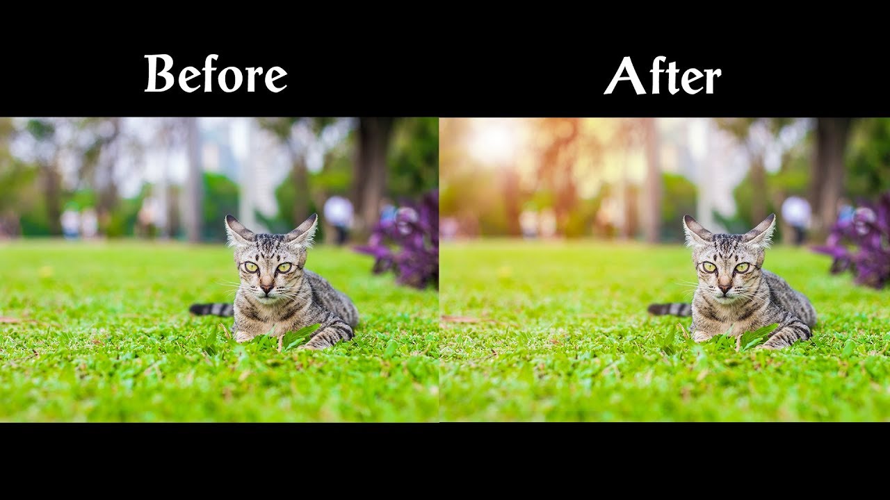 วิธีทําแสงพระอาทิตย์ photoshop cs6 Update สอนทำแสงแฟร์สีส้มจากดวงอาทิตย์ ด้วยวิธีง่ายๆ - Photoshop