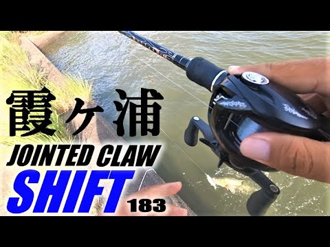 夏の霞ヶ浦 本湖 流入河川 ジョイクロ178 ジョイクローラー ジョイクロ