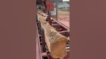 the process of splitting hardwood from a tree #shorts