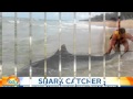 The teenage lifeguard catching and tagging sharks along the NSW coast
