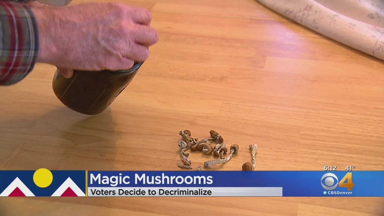 Denver voters approve decriminalization of 'magic mushrooms'