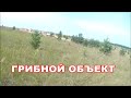 ЭКСКАВАТОР ПОГРУЗЧИК ИЛИ ФРОНТАЛЬНИК//В ЧЕМ ОТЛИЧИЕ ПОГРУЗЧИКОВ