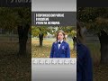 В Вороновском районе в водоеме утонула женщина
