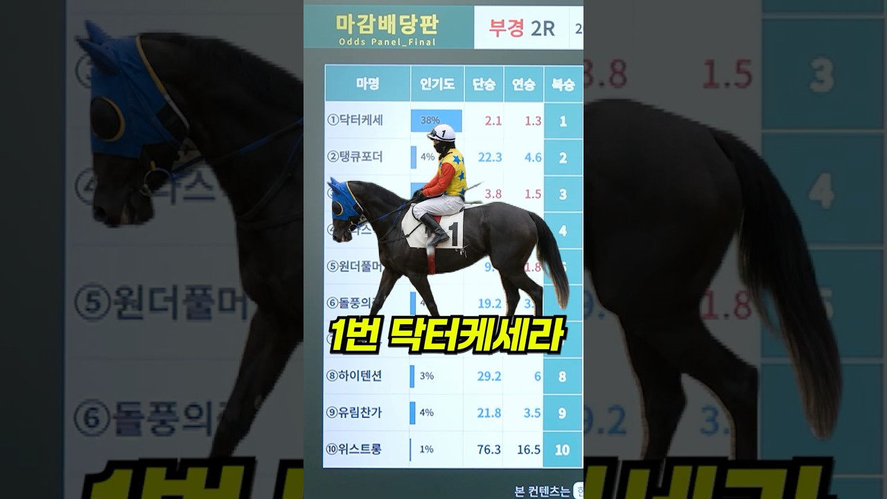 99%가 모르는 경마 환수의 비밀