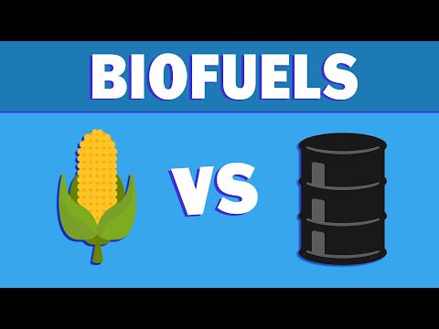 Video: Je biopalivo levnější než fosilní palivo?