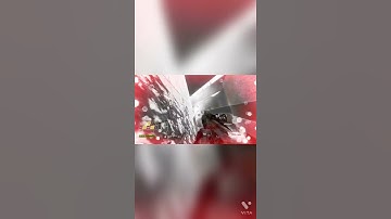 New gauntlet world record (reddit: whatevershoe)