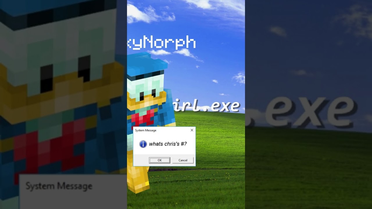 2b2t PLAYER DOXXED | #shorts
