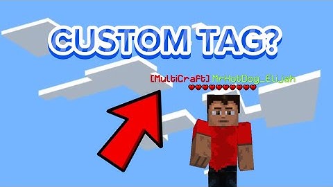 Custom Tags?? How to set a custom tag #multicraft #gaming #howto